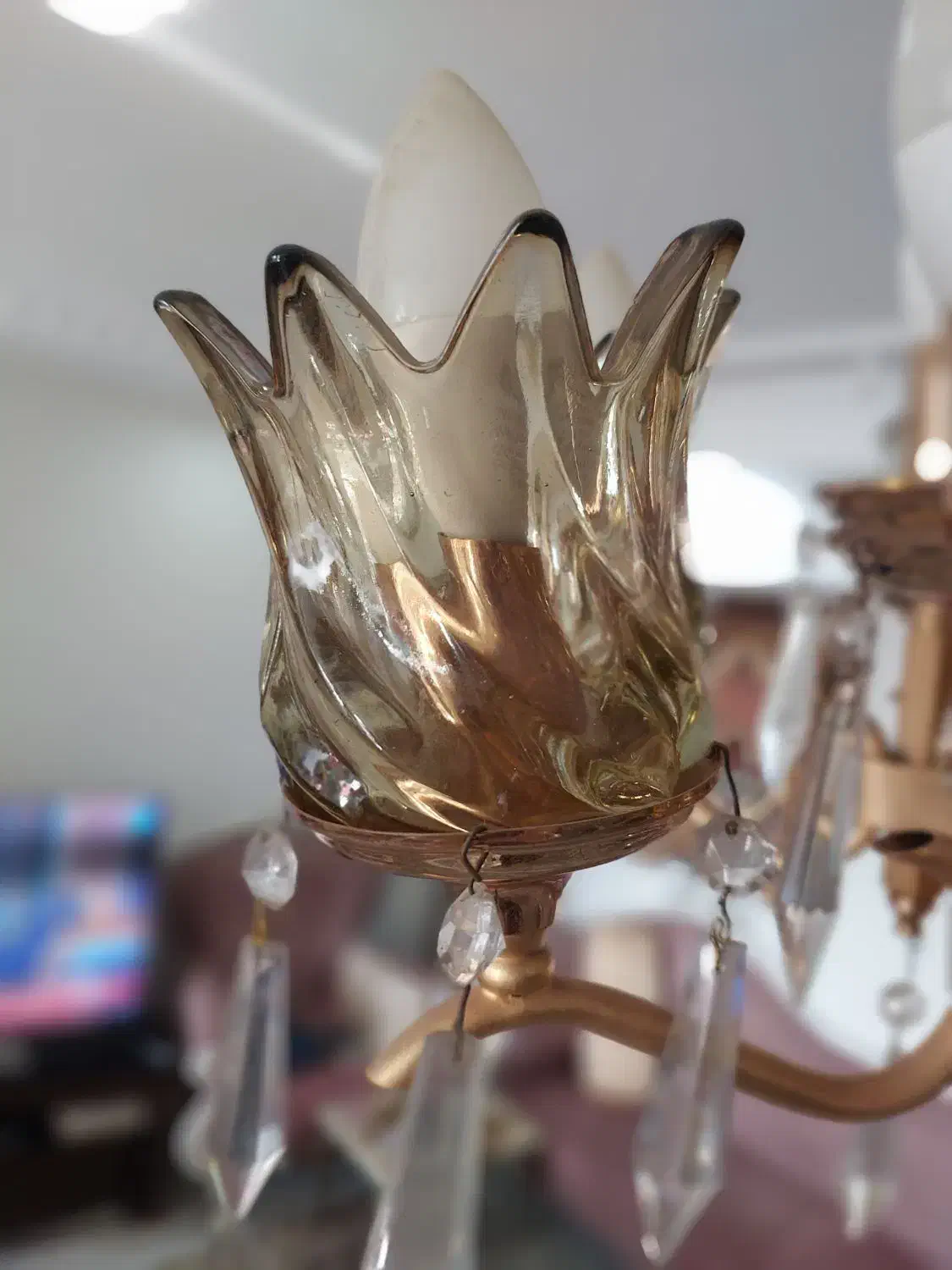 ۶ عدد حباب لوستر شامپانی|لوستر و چراغ آویز|تهران, سلسبیل شمالی|دیوار