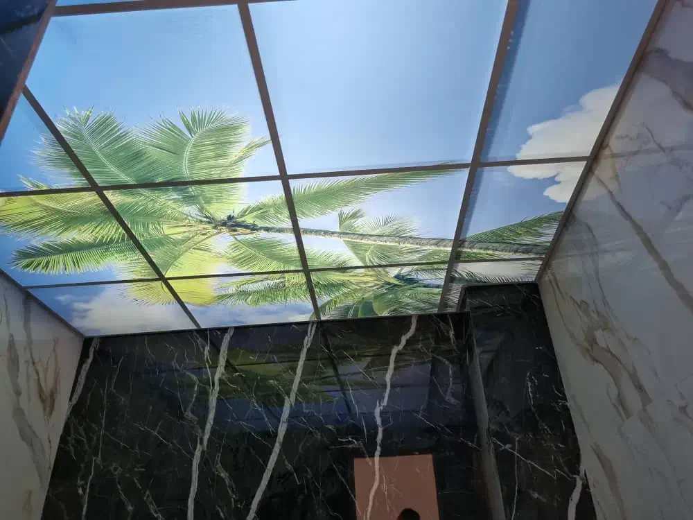 سقف کاذب|خدمات پیشه و مهارت|محمدشهر, محمدشهر|دیوار