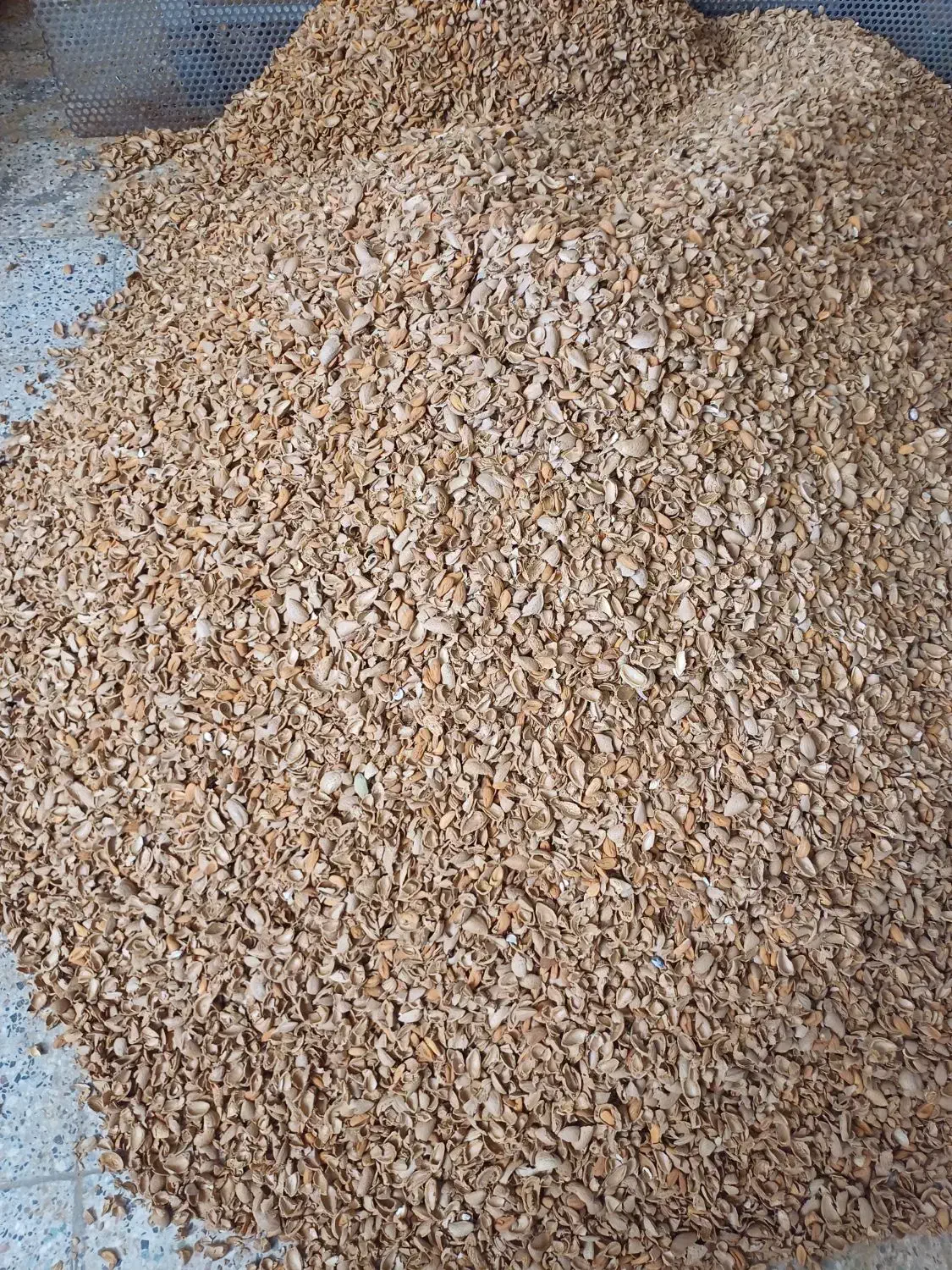 خریدار ارقام بادام بصورت نقدی بالاترین قیمت|خدمات باغبانی و درختکاری|شهرکرد, |دیوار