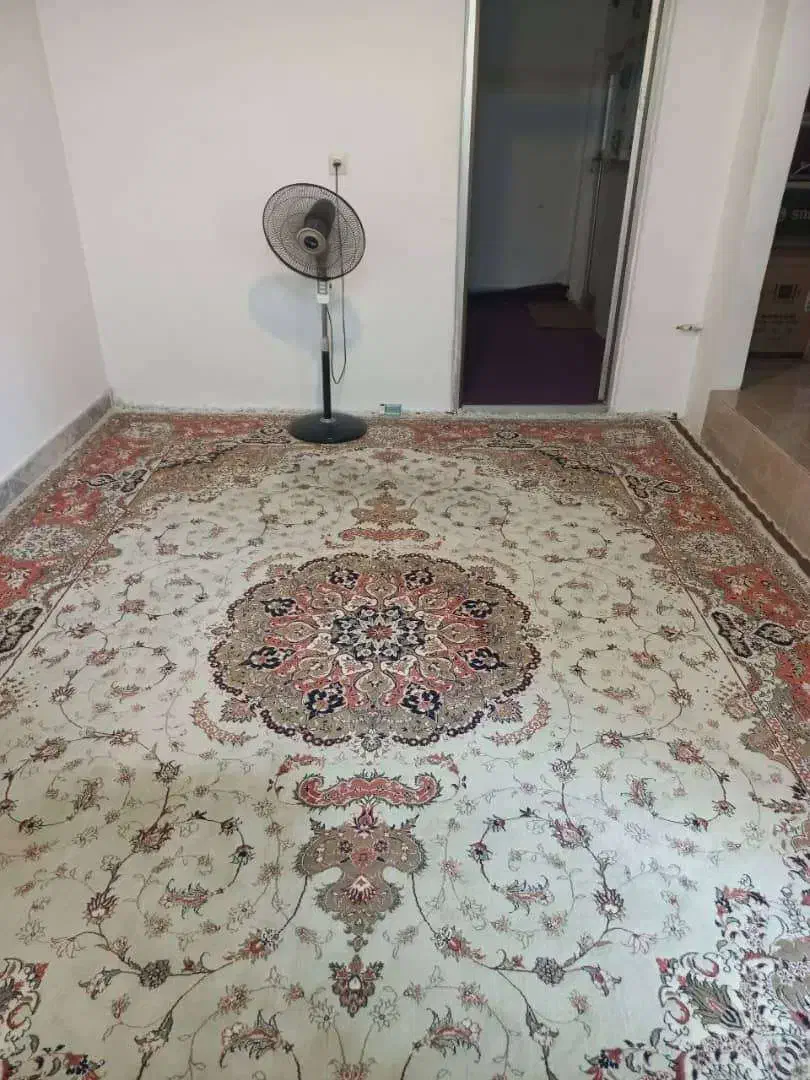 قالی در حد نو|فرش|آمل, |دیوار