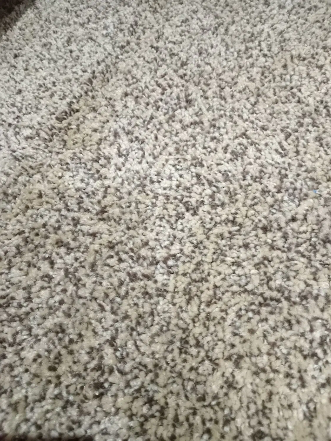 پالازموکت|موکت|کرج, ساماندهی|دیوار