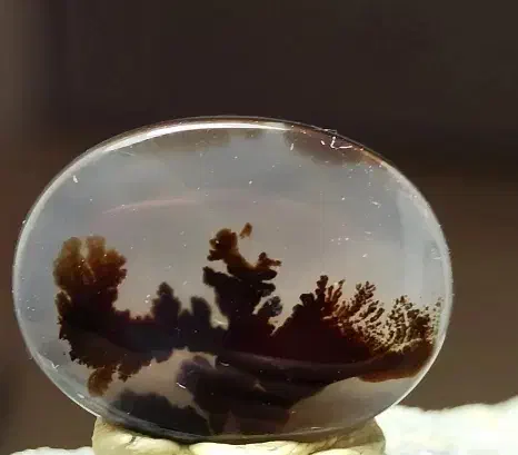 شجر|کلکسیون اشیاء عتیقه|شهر ری, علایین|دیوار