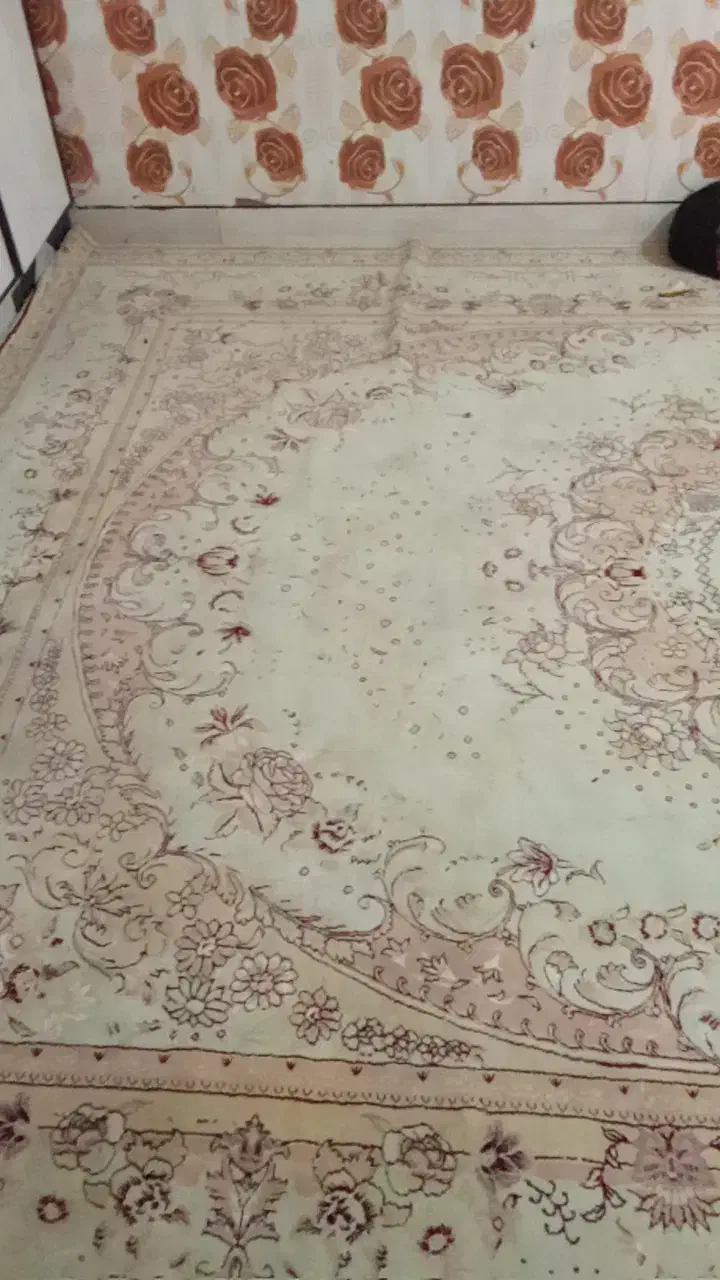 قالی|فرش|سوسنگرد, |دیوار