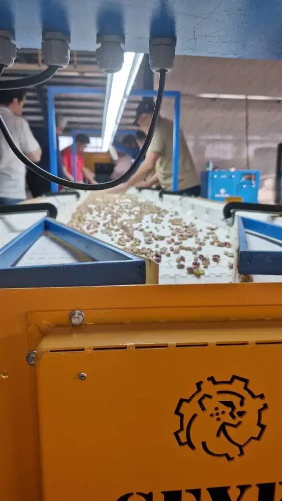 نوار دست چین گروه صنعتی سیفی|ماشینآلات صنعتی|رفسنجان, |دیوار