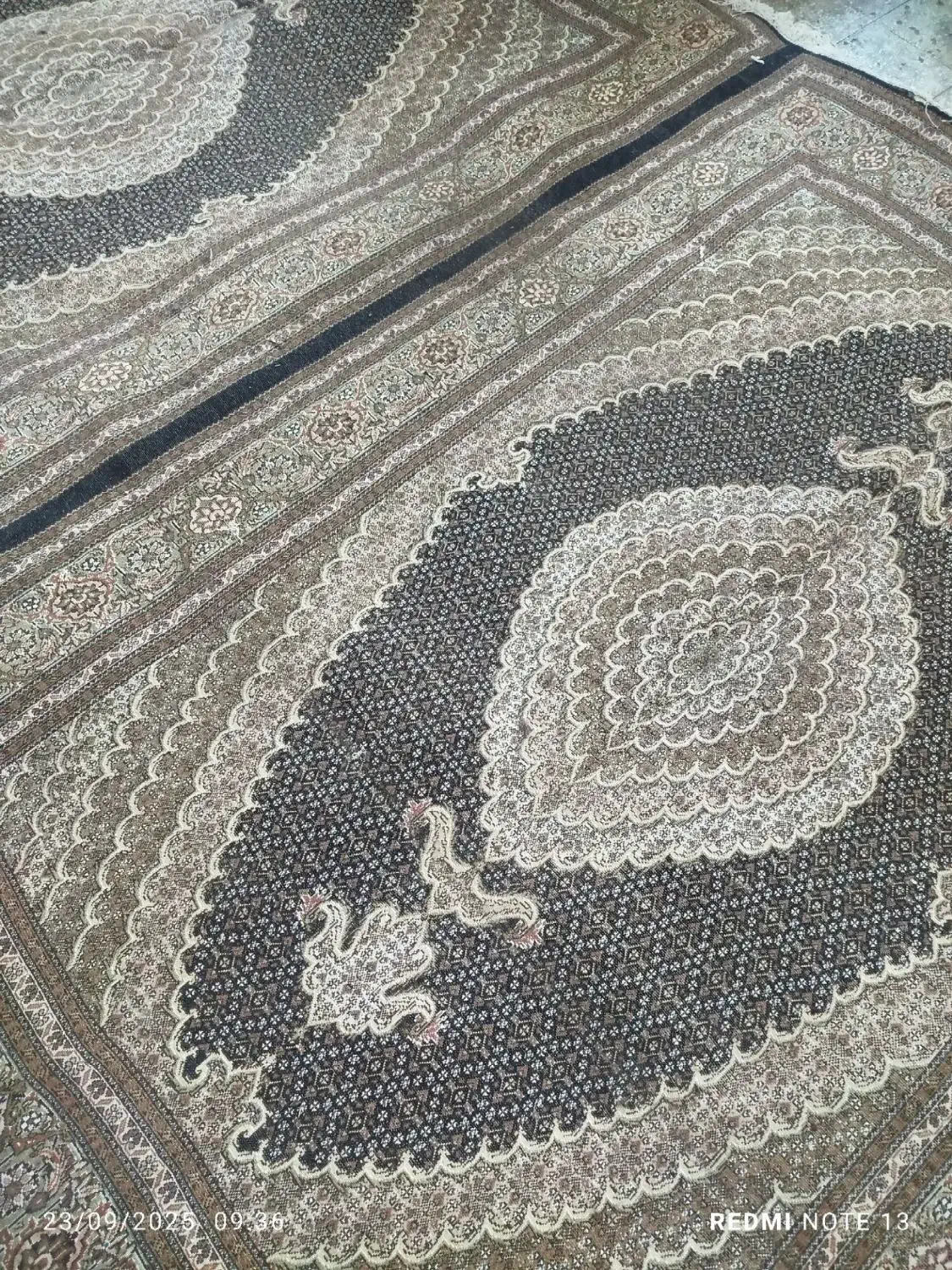 اندازه فرش جفت ۶متری هس مشتری واقعی بزنگه|فرش|بناب, |دیوار