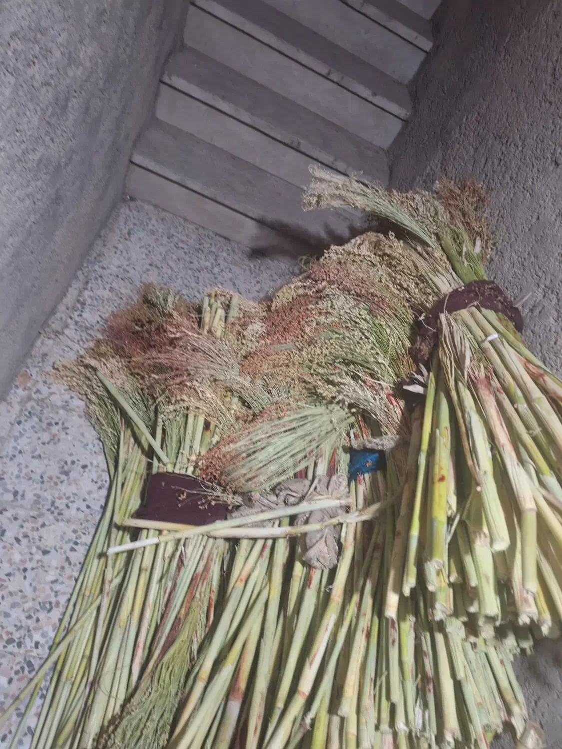 جارو شهری|لوازم نظافت|خرم‌آباد, |دیوار