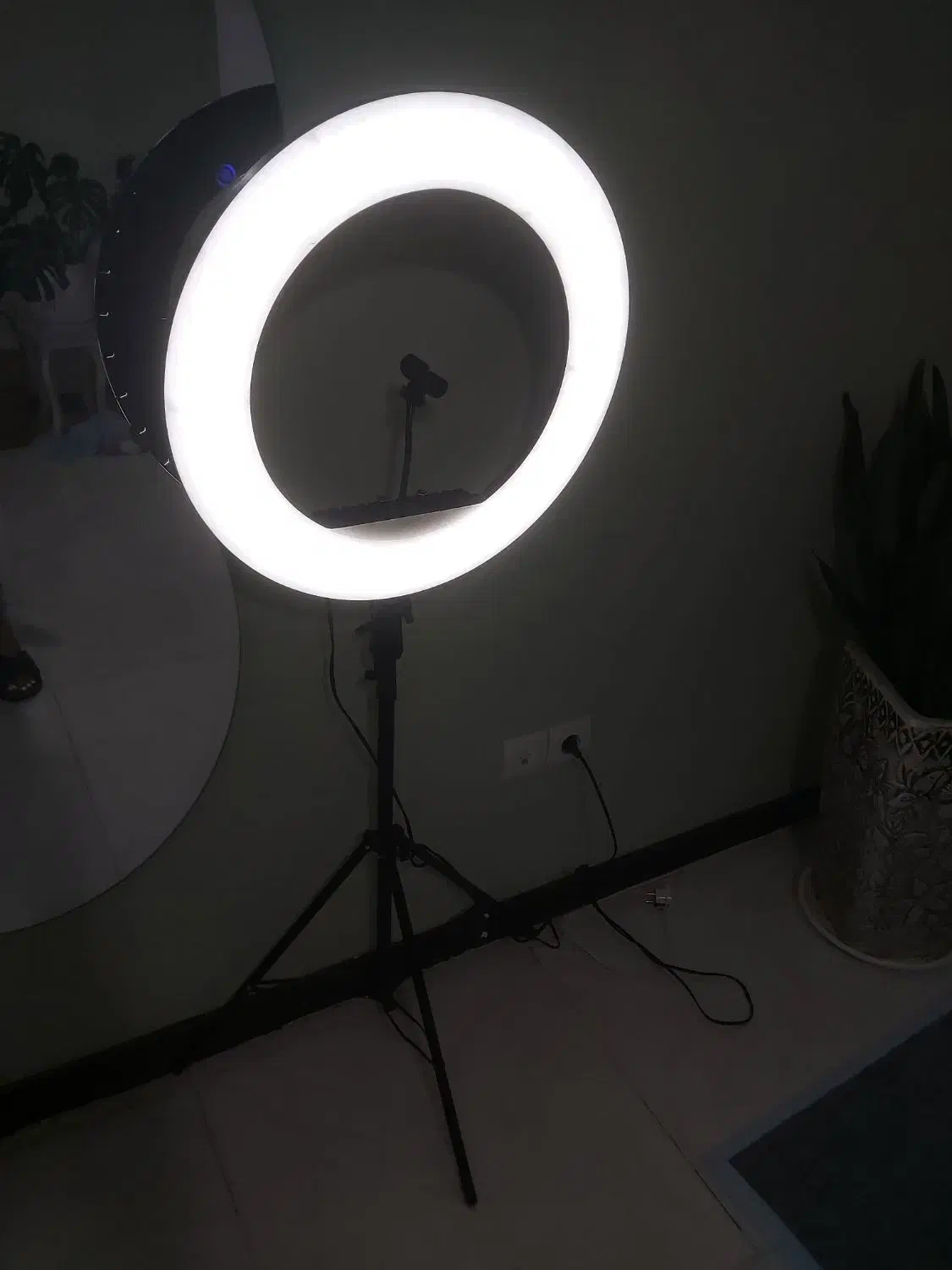 رینگ لایت|دوربین عکاسی و فیلمبرداری|محمدشهر, شهرک پیام (مهرالبرز)|دیوار