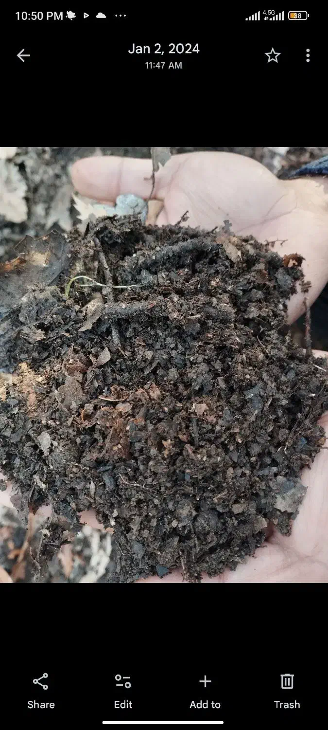 خاک برگ|گل و گیاه طبیعی|گنبد کاووس, |دیوار