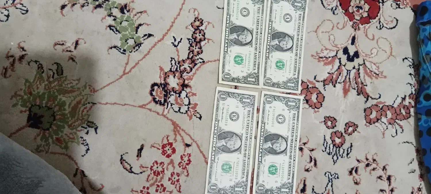 دلار کلکسیونی|کلکسیون سکه، تمبر، اسکناس|ساری, |دیوار