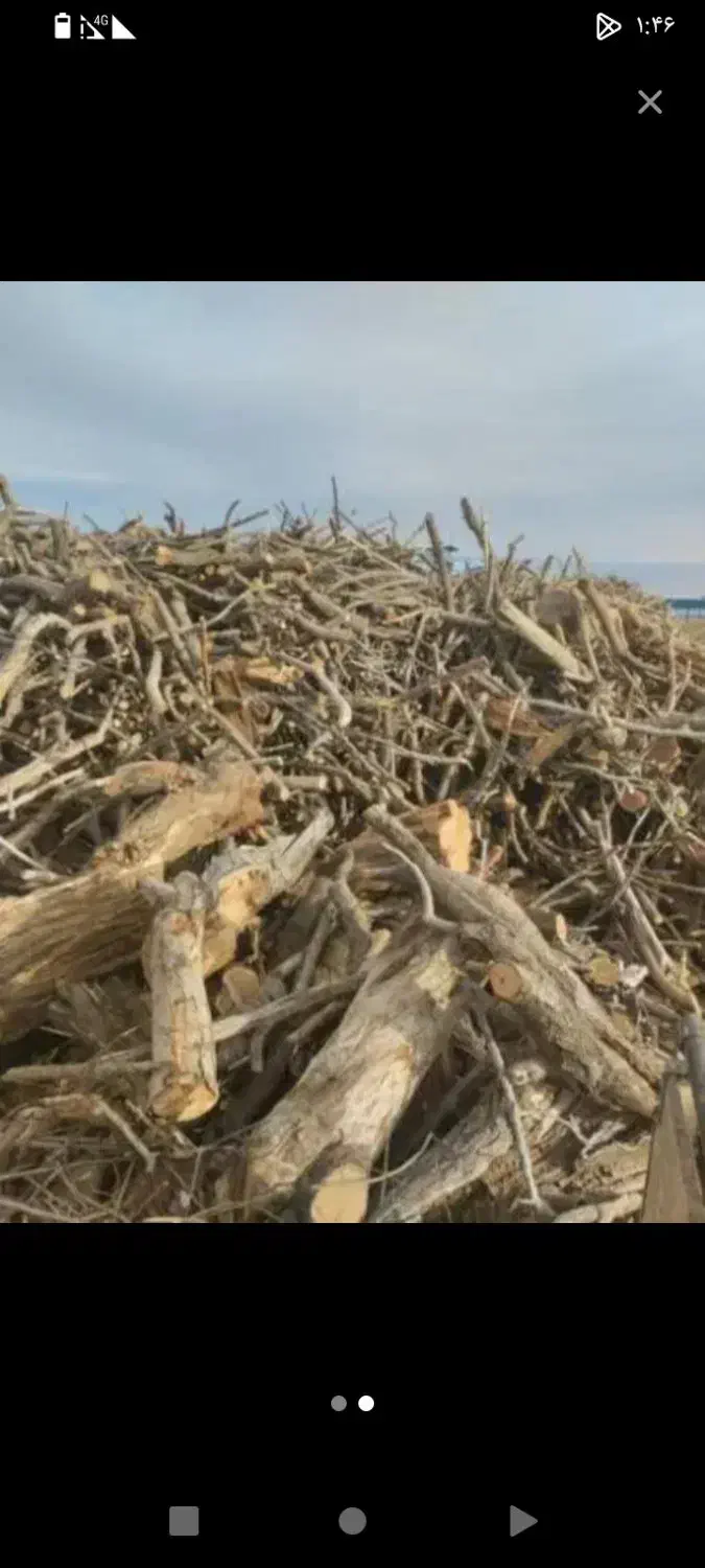 چوب|خدمات باغبانی و درختکاری|بیجار, |دیوار