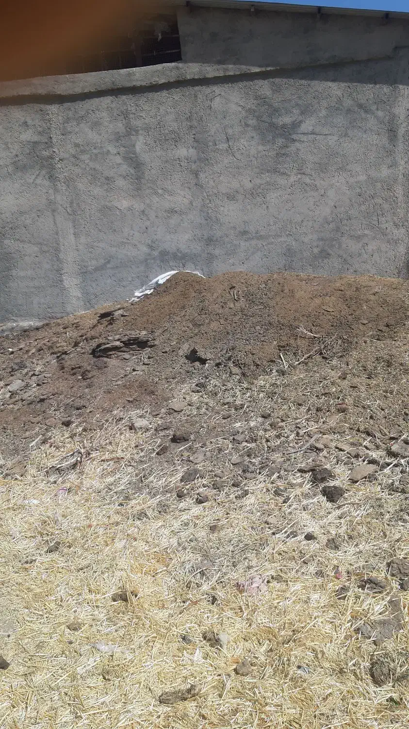 کود حیوانی|خدمات باغبانی و درختکاری|بروجرد, |دیوار