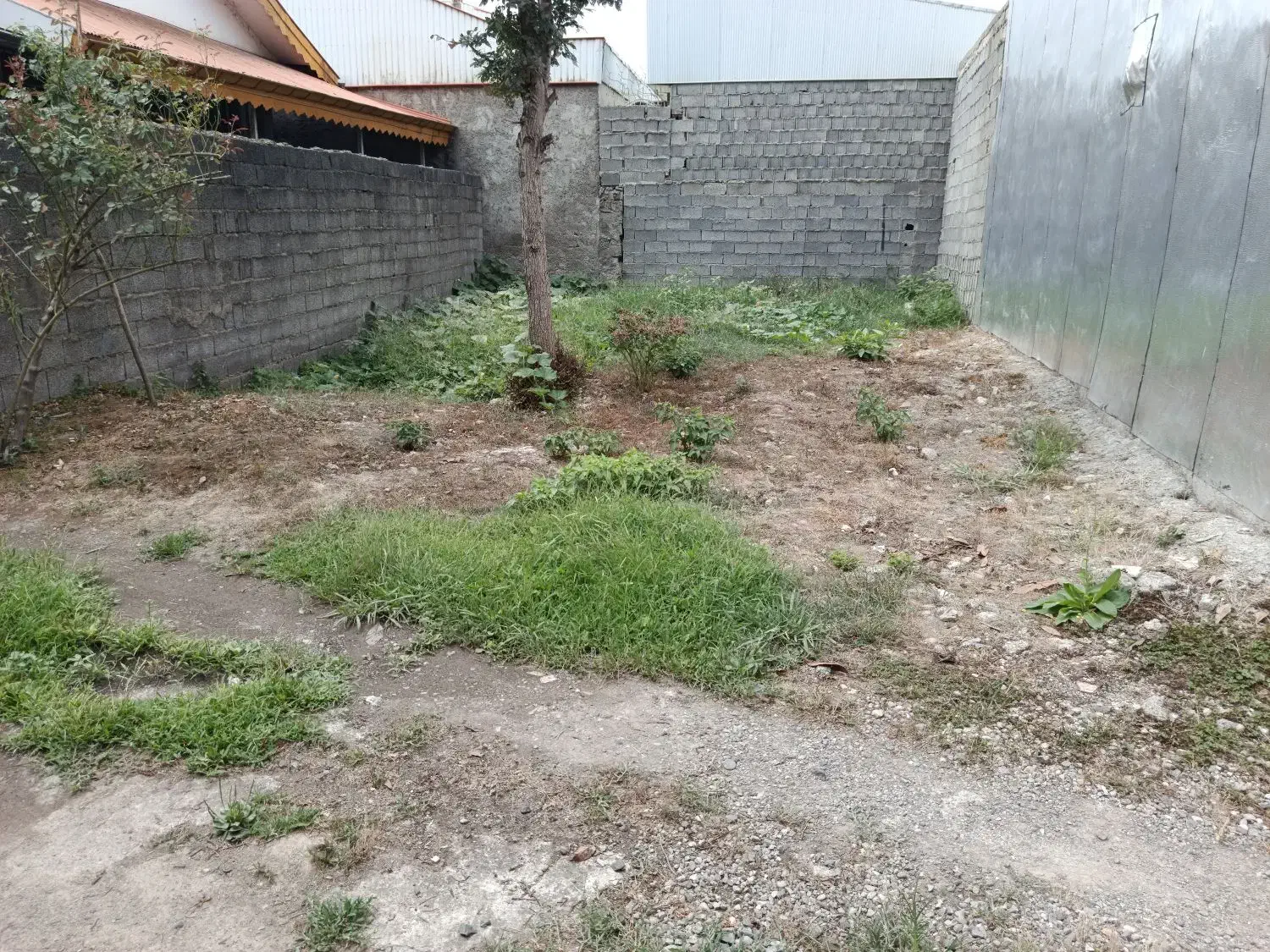 فروش زمین مسکونی|اجارهٔ خانه و ویلا|رشت, حومه رشت|دیوار