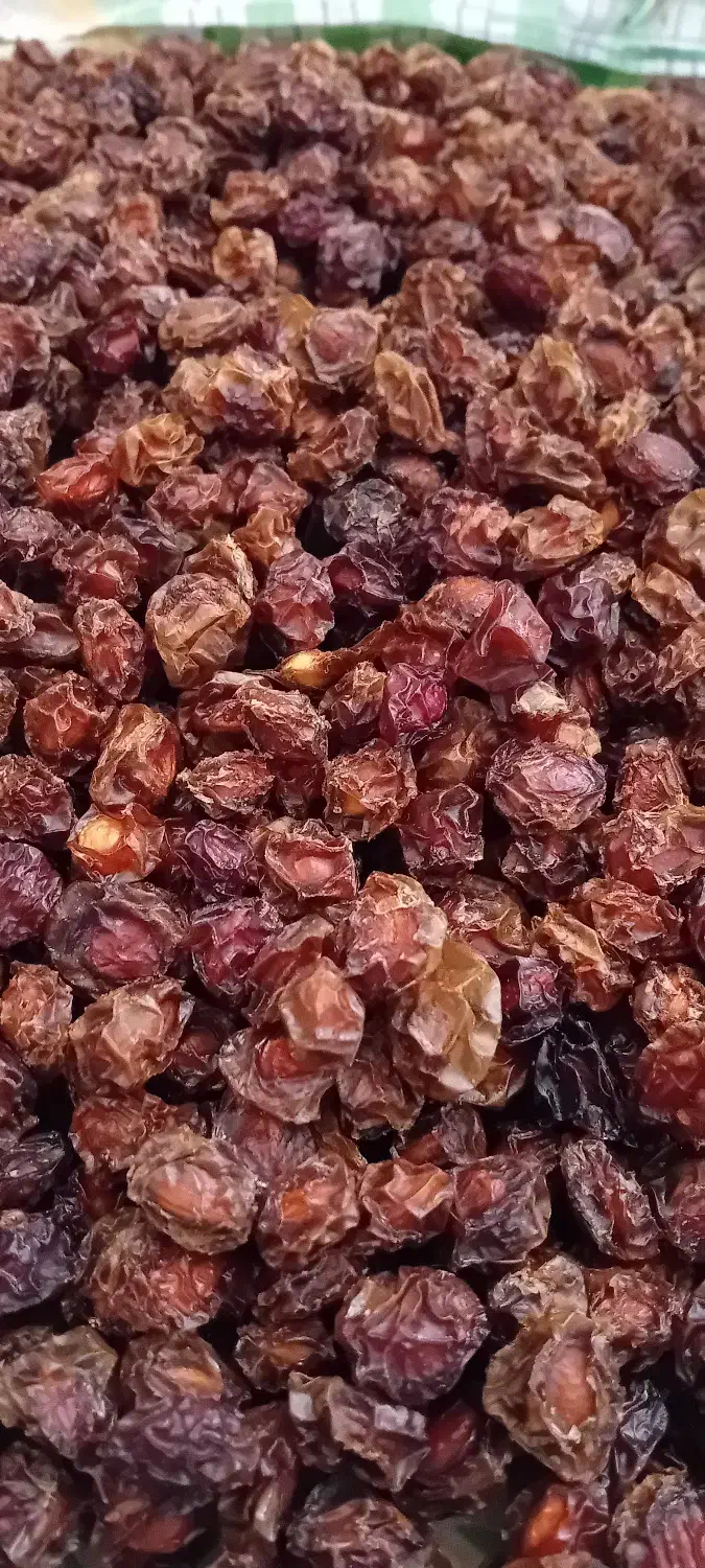 آلبالو خشک|خوردنی و آشامیدنی|قم, شهرک مهدیه|دیوار