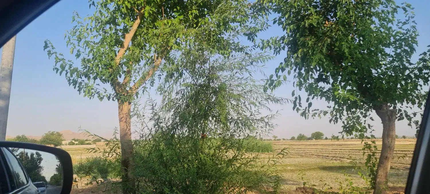 زمین کشاورزی|فروش زمین و ملک کلنگی|لنجان, |دیوار