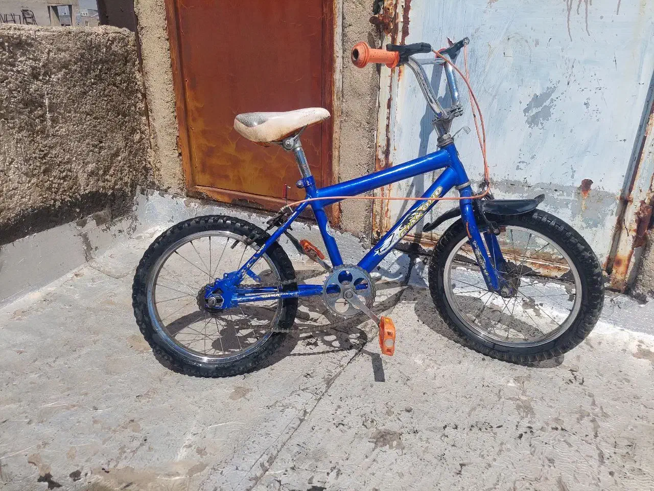 دوچرخه حرفه ای و سایز ۱۶|دوچرخه، اسکیت، اسکوتر|شهریار, شهریار|دیوار