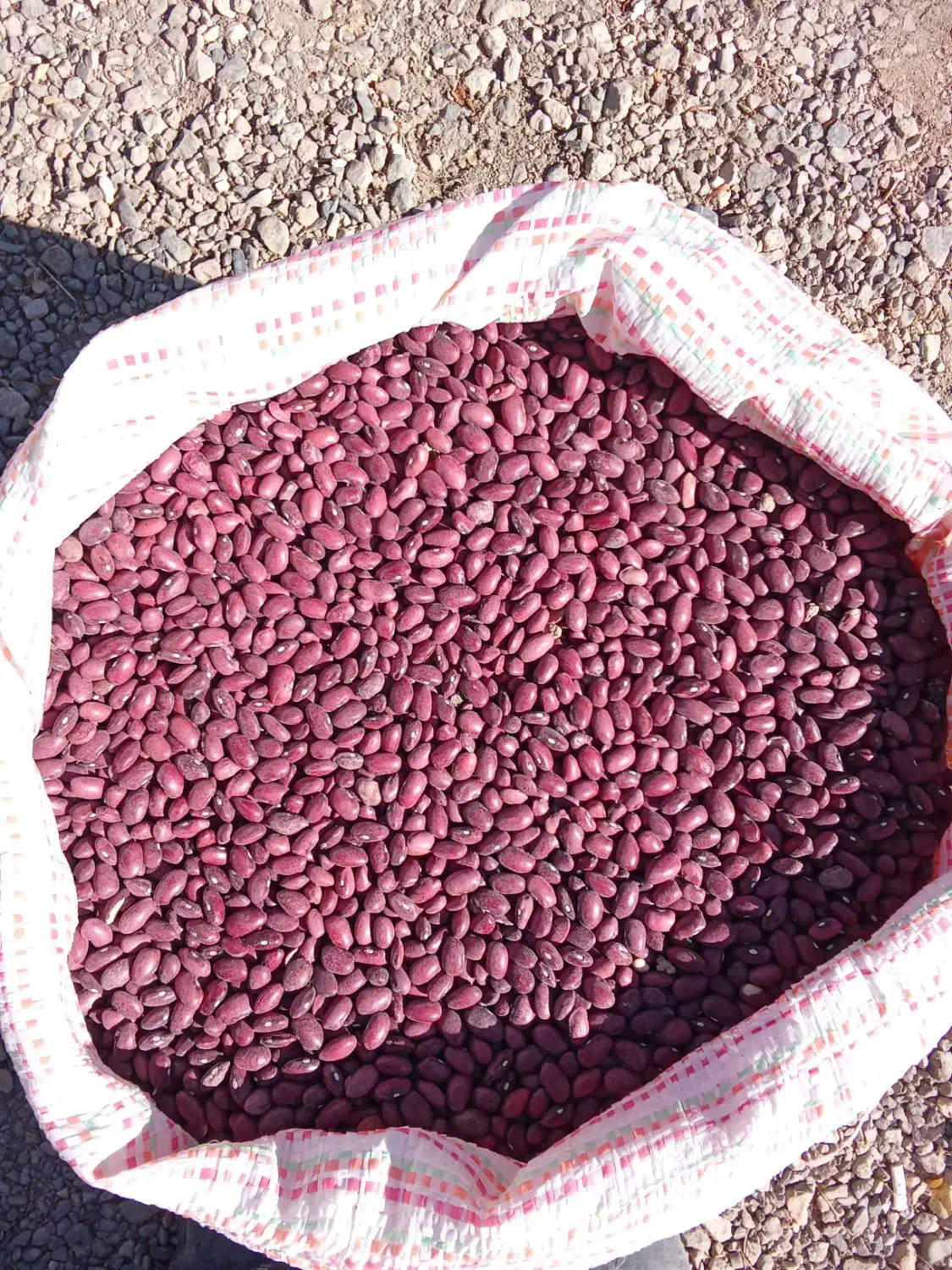 لوبیا قرمز|خوردنی و آشامیدنی|آوج, |دیوار