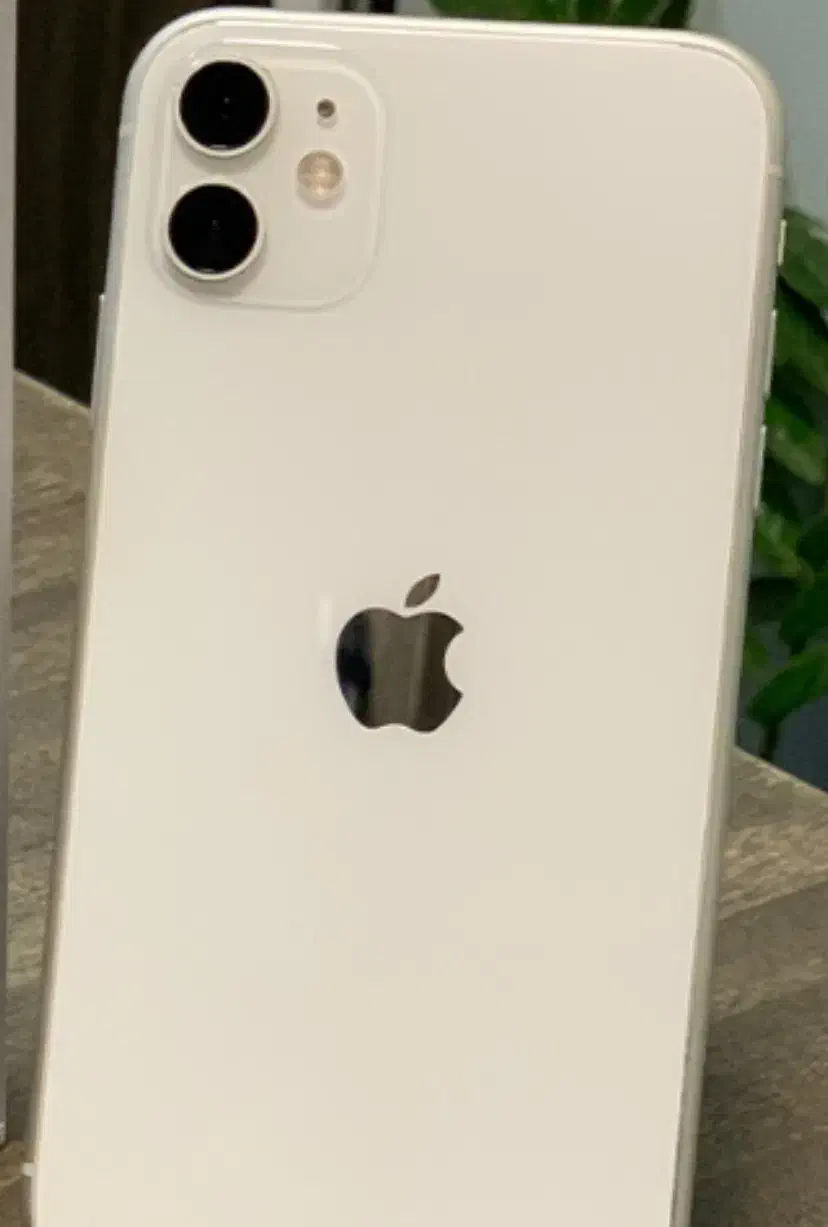 گوشی ایفون ۱۱|موبایل|قم, زنبیل آباد|دیوار