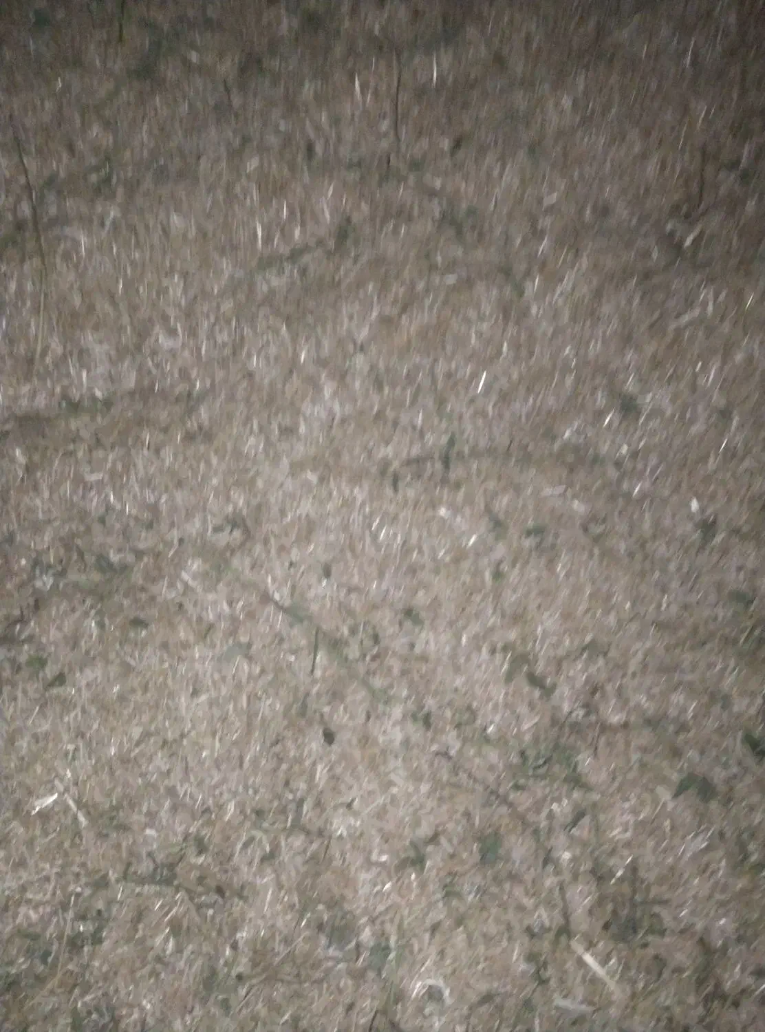 کاه گندم|لوازم جانبی حیوانات|راز وجرگلان, |دیوار