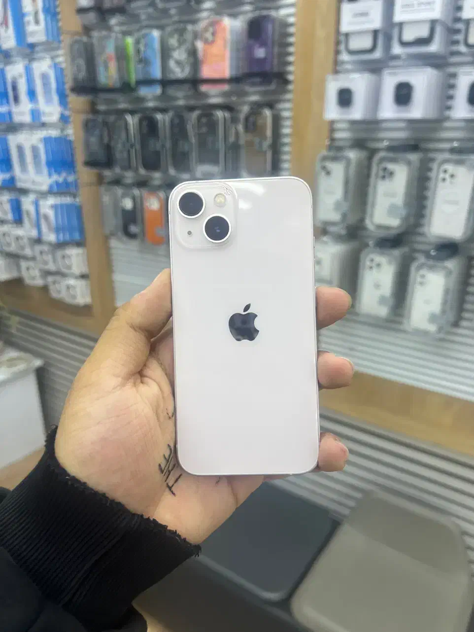 Iphone 13|موبایل|تهران, باغ فیض|دیوار