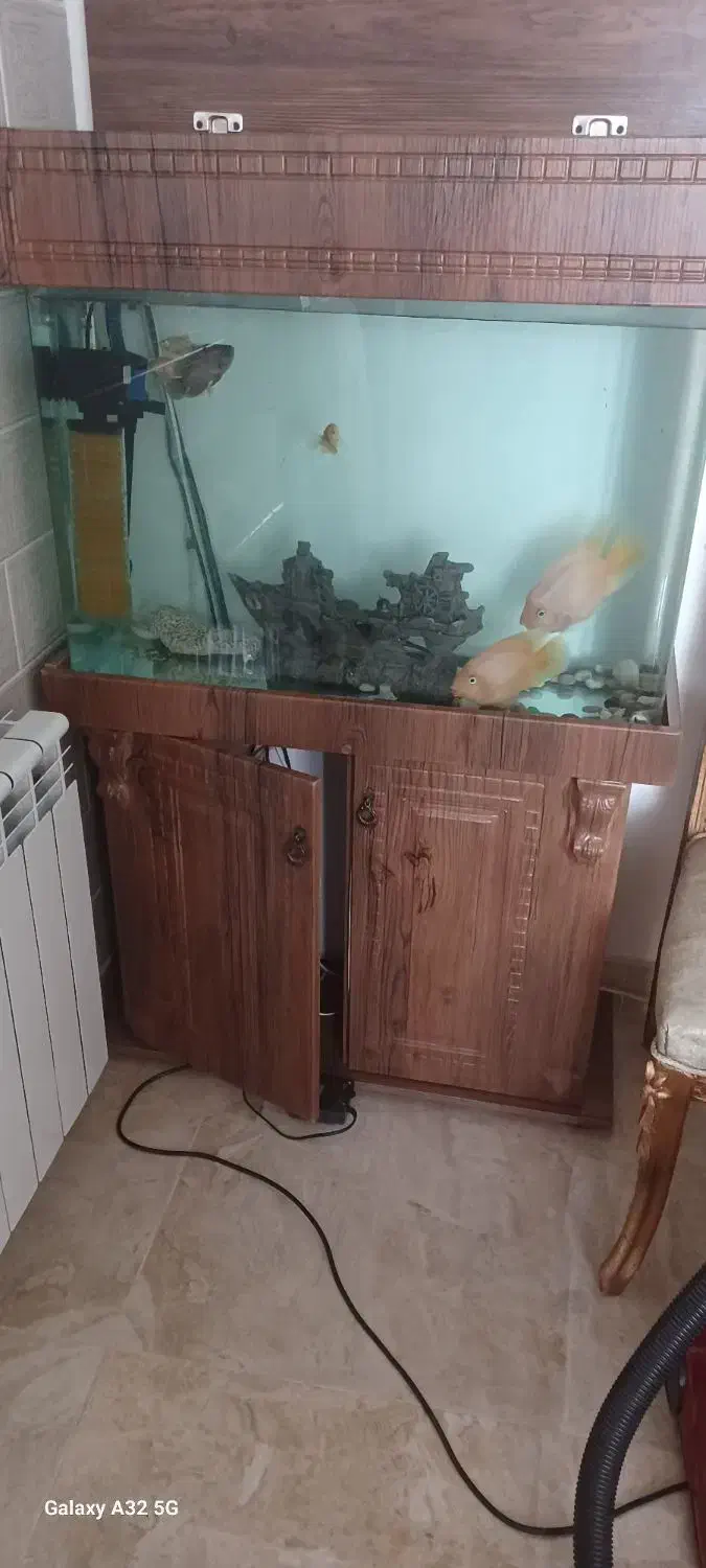 آکواریوم و ماهی وهمراه وسایلاش|ماهی|پرند, فاز ۴|دیوار