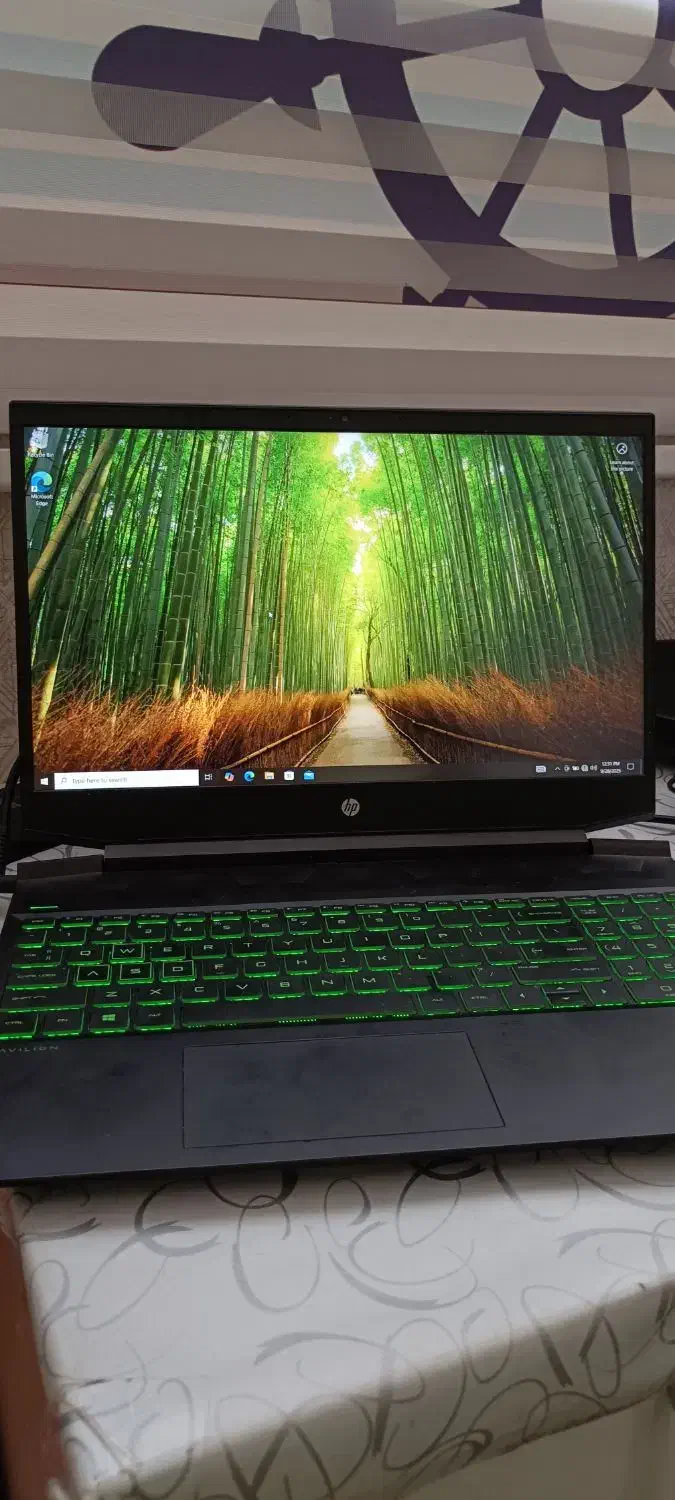 LapTop HP Pavilion|رایانه همراه|تبریز, |دیوار