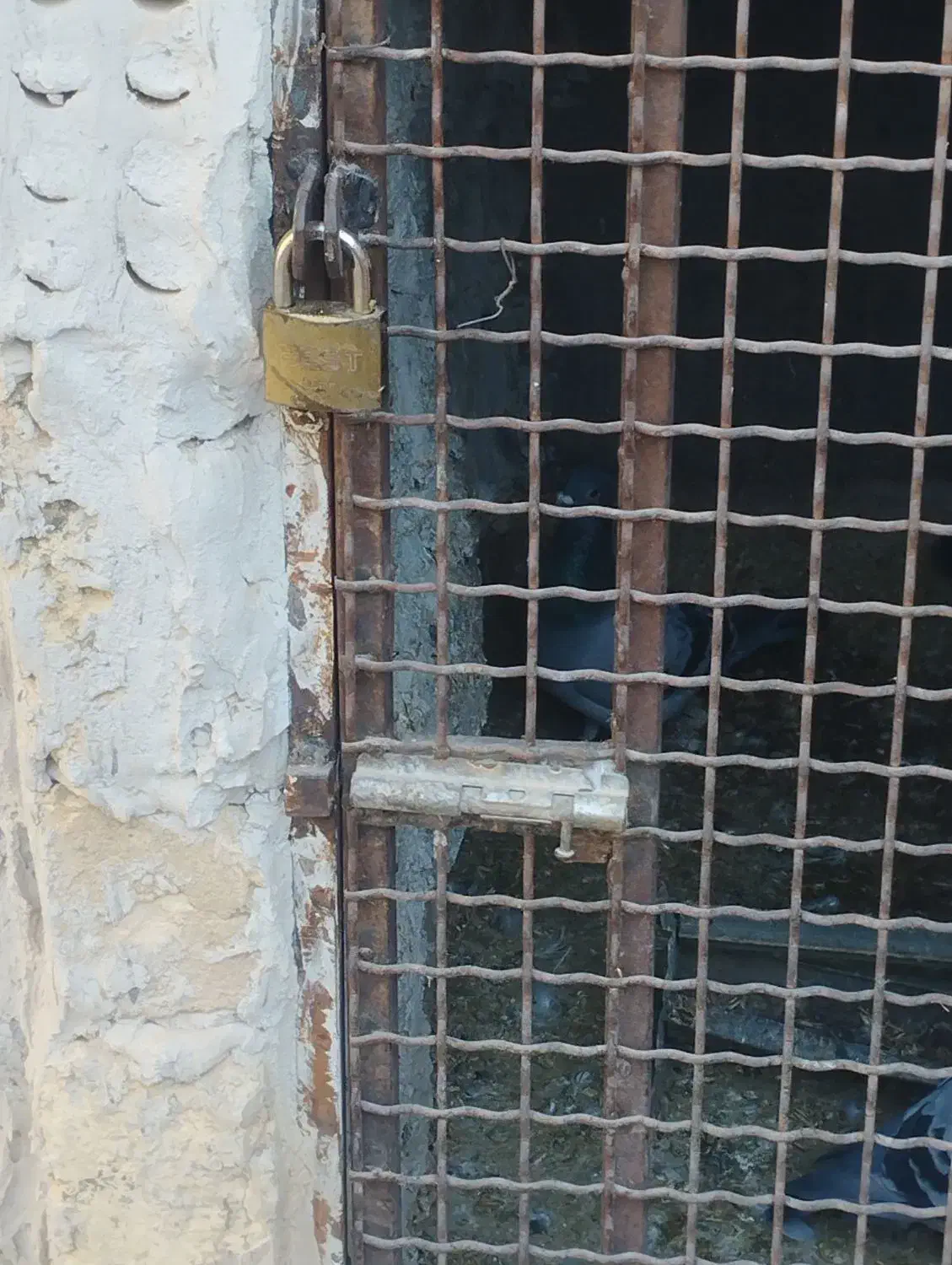 درب کله|مصالح و تجهیزات ساختمان|شوش, |دیوار