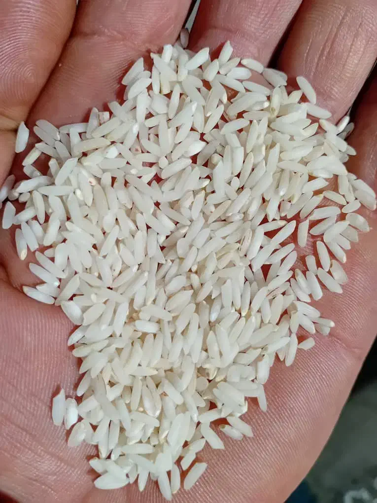 برنج محلی درود درجه یک با ضمانت|خوردنی و آشامیدنی|دورود, |دیوار