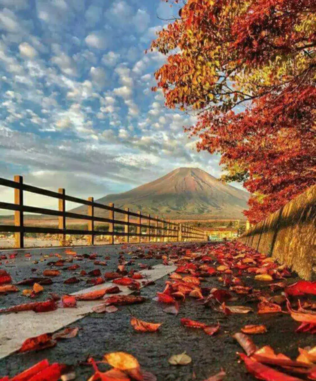 نیازمند تعدادی نیروی خانم و آقا بابت کار در املاک|استخدام بازاریابی و فروش|قزوین, |دیوار