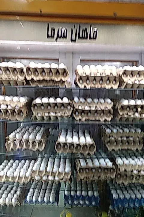 یخچال مغازه|فروشگاه و مغازه|شیروان (خراسان), |دیوار