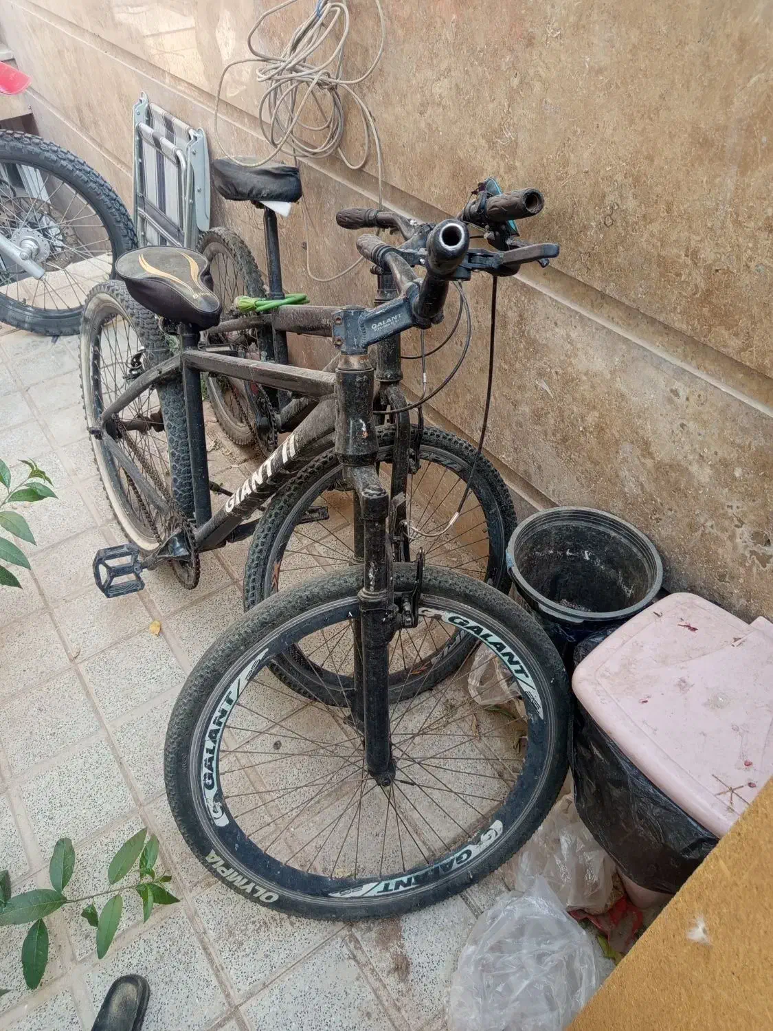 دوچرخه 26و24|دوچرخه، اسکیت، اسکوتر|یزد, |دیوار