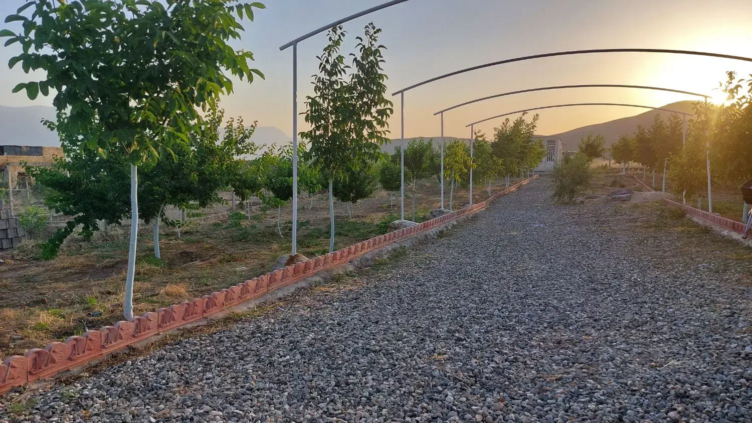 باغ|فروش دفتر صنعتی، کشاورزی، تجاری|دورود, |دیوار