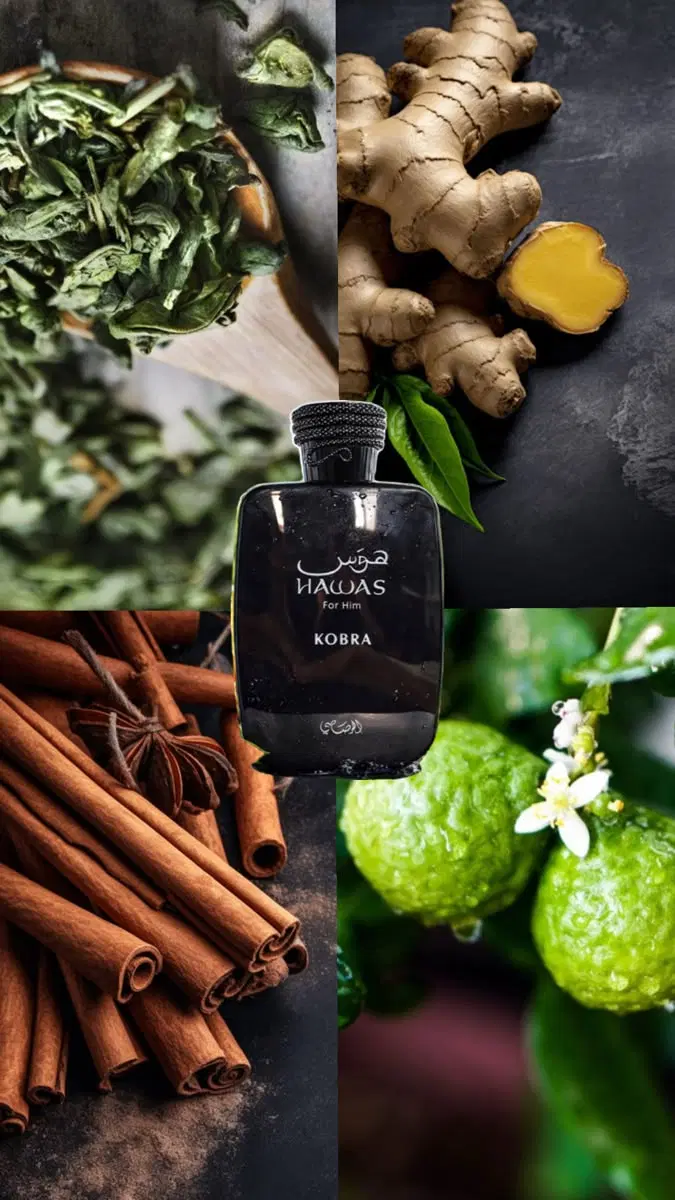 عطر|آرایشی، بهداشتی، درمانی|مریوان, |دیوار