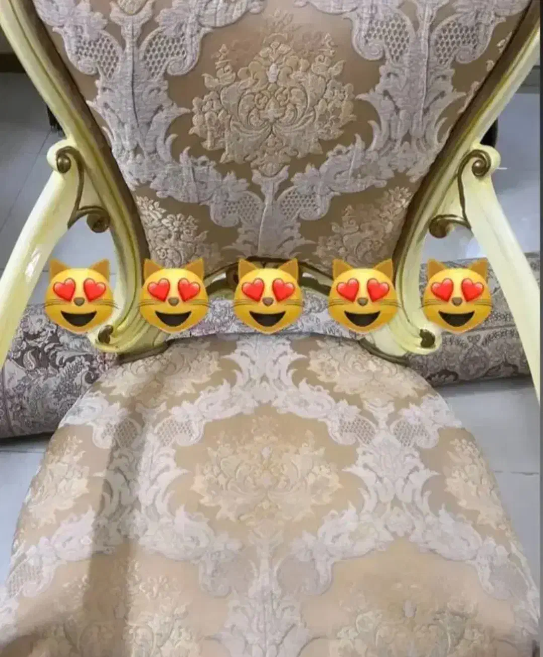 مبل‌شویی شایان|خدمات نظافت|بجنورد, |دیوار