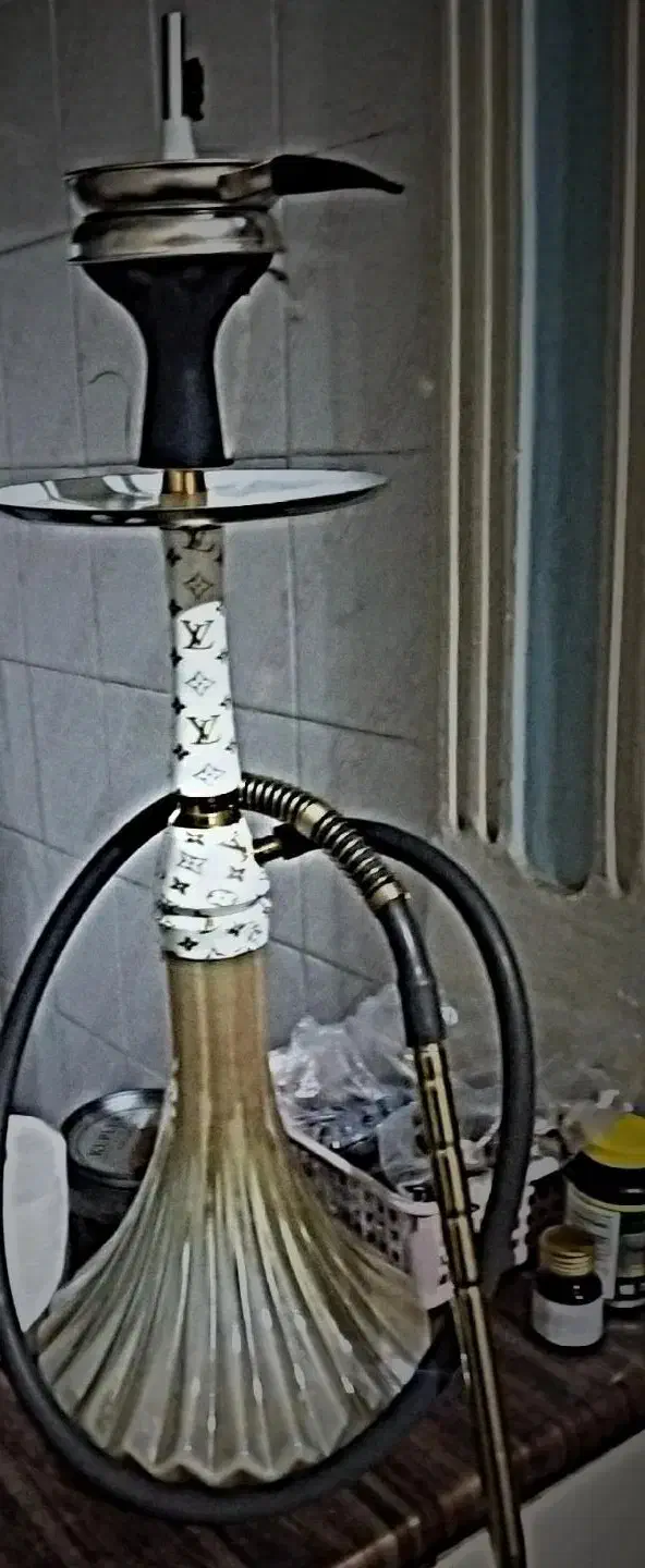 قیلیون عربی نو|کلکسیون و سرگرمی|یاسوج, |دیوار