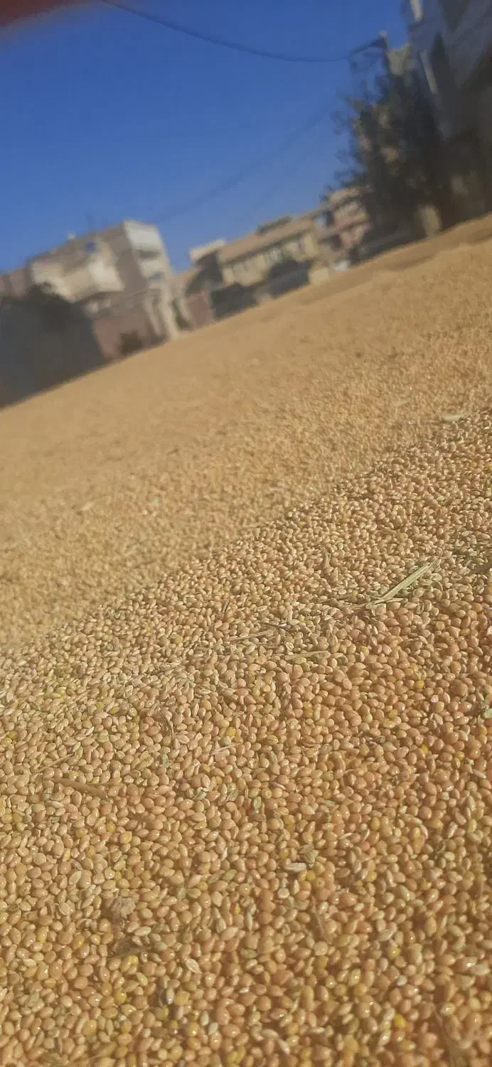 پرس علوفه داری(ارزن)|عمدهفروشی|پلدشت, |دیوار