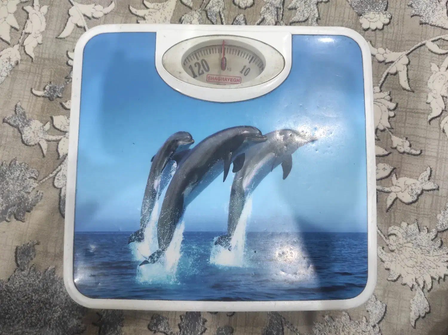 ترازو|تجهیزات ورزشی|یاسوج, |دیوار