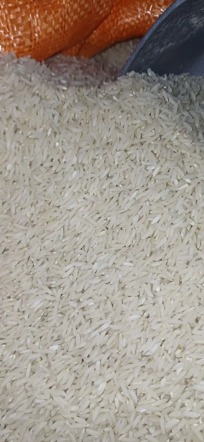 برنج هاشمی فومنات|خوردنی و آشامیدنی|تهران, شهرک چیتگر|دیوار