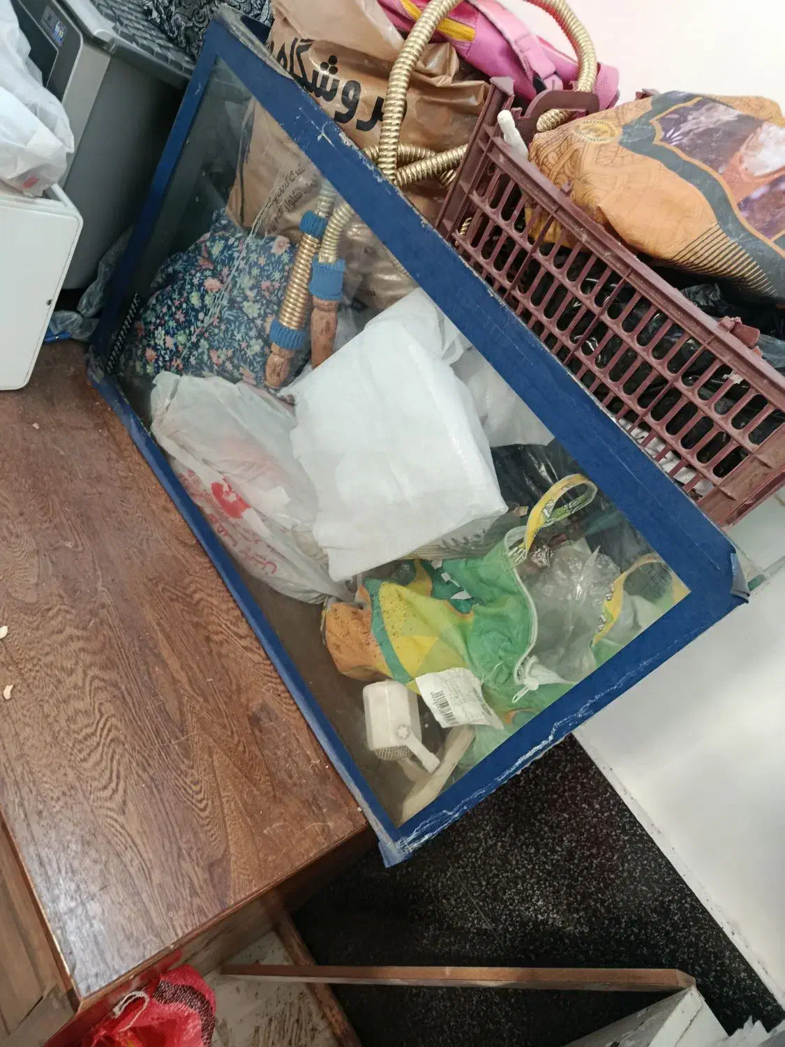 آکواریوم|ماهی|خوی, |دیوار