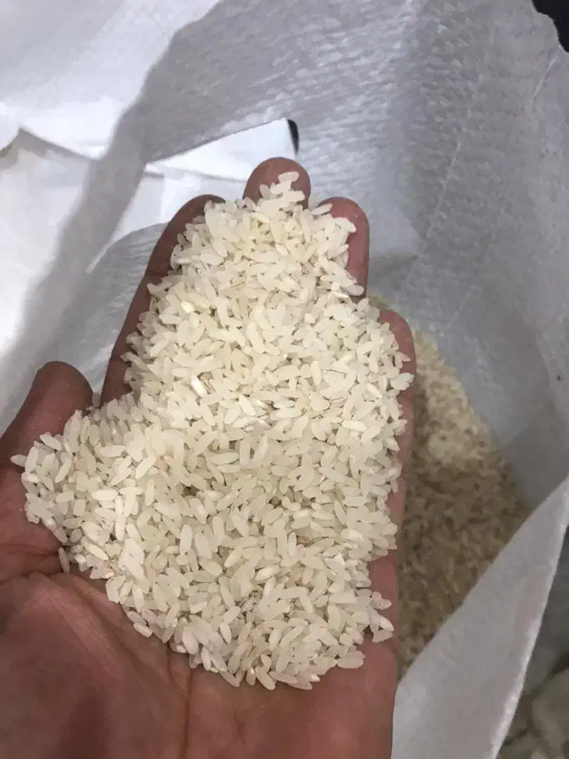 چای کله مورچه،برنج تایلندی،گردو خارجی،لوبیا سفید|خوردنی و آشامیدنی|اهواز, کیانشهر|دیوار