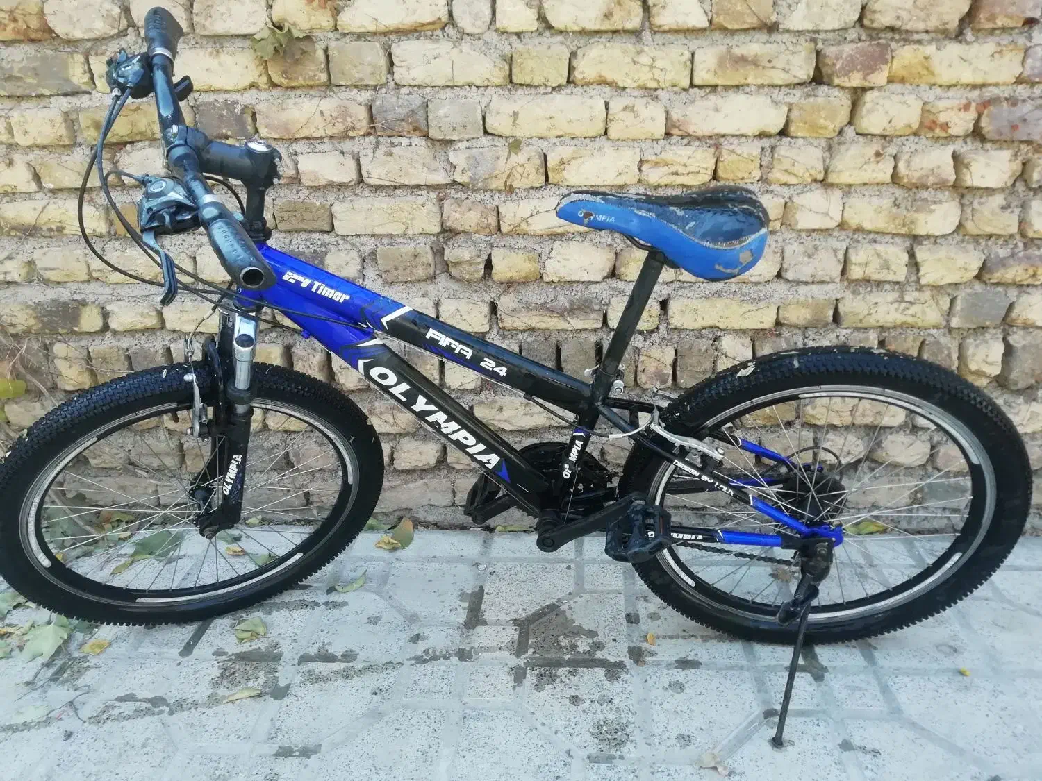 دوچرخه 24 المپیا|دوچرخه، اسکیت، اسکوتر|صائین قلعه, |دیوار