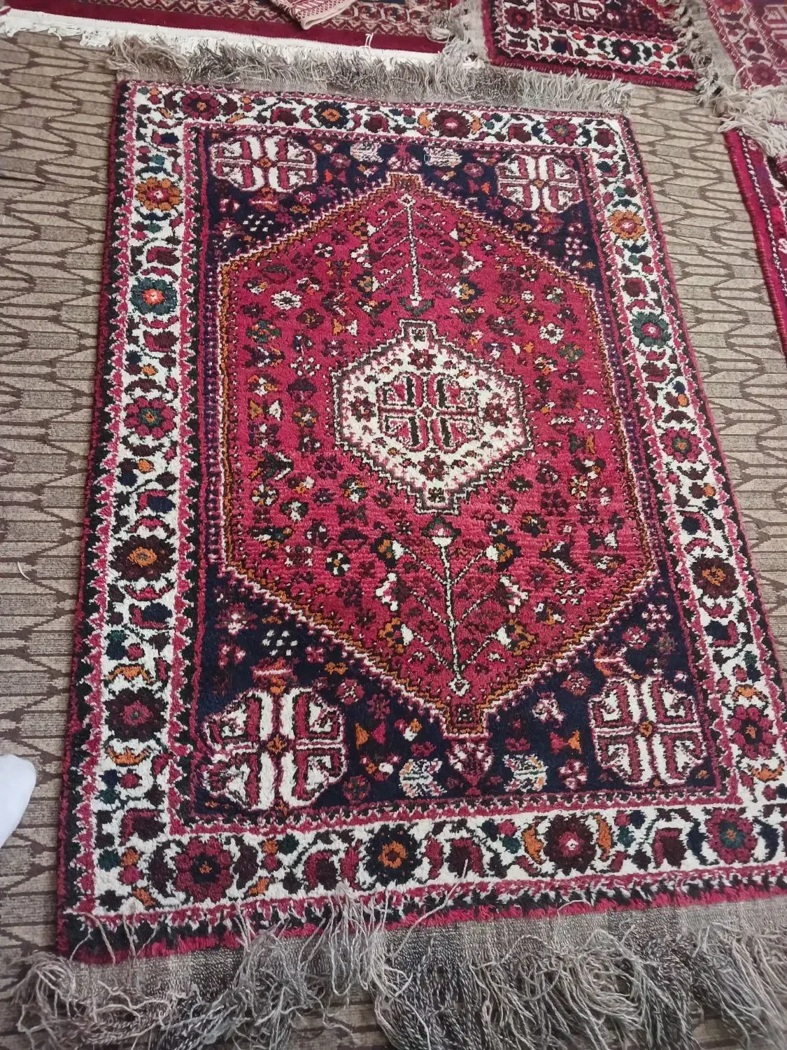 قالیچه پشمی|گلیم، جاجیم، گبه|شیراز, علی آباد|دیوار