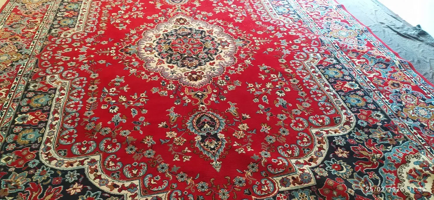 فرش مشهد|فرش|سبزوار, شهرک اندیشه|دیوار