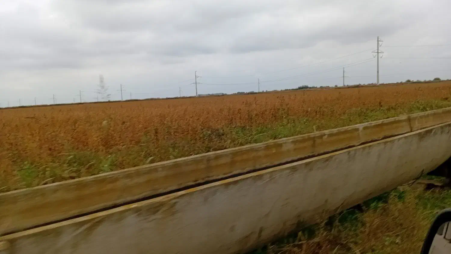 اجاره برای بادام زمینی ایران آباد جاکشت سویا|اجارهٔ دفتر صنعتی، کشاورزی، تجاری|پارس‌آباد, |دیوار