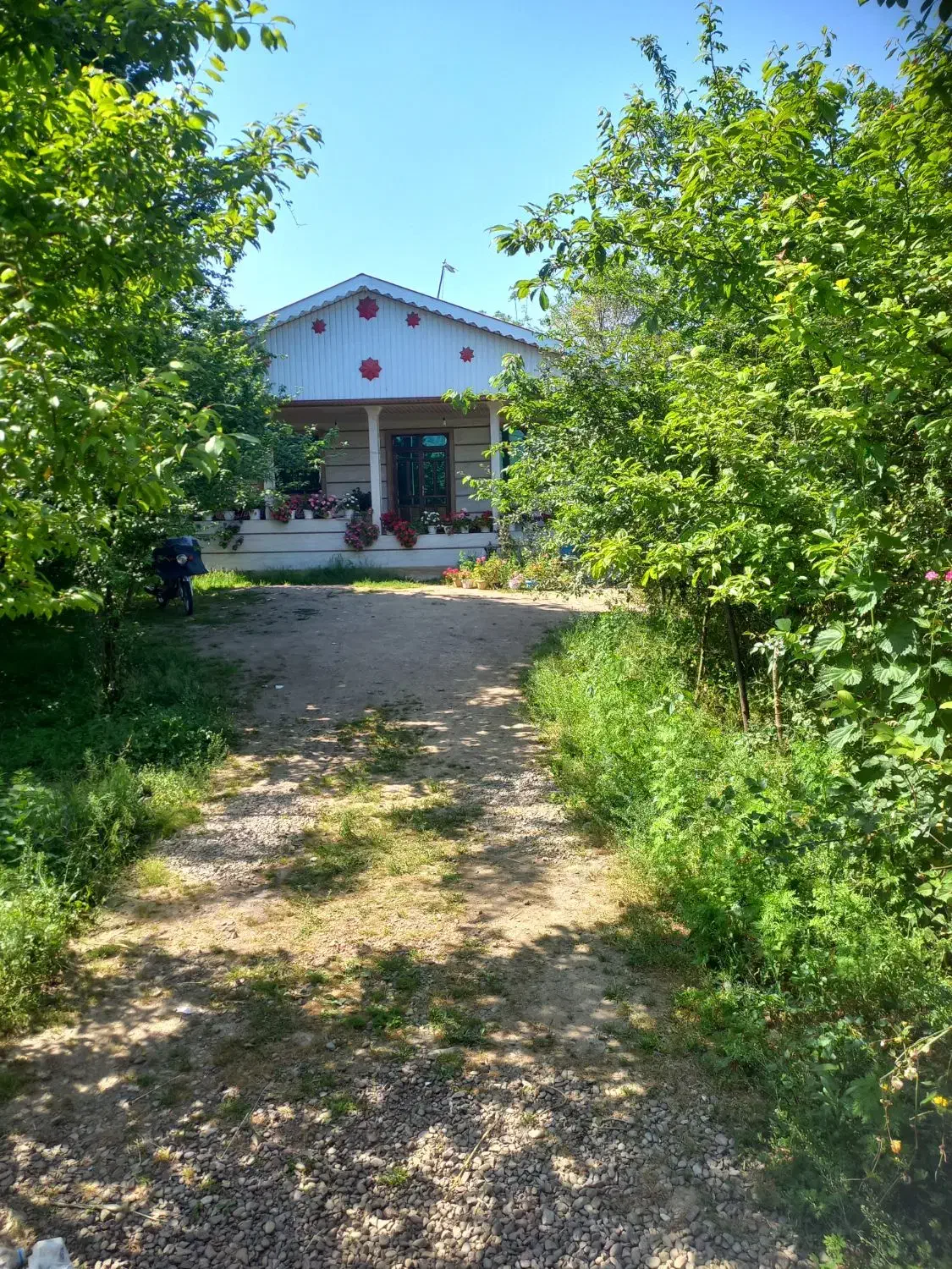 اجاره روزانه/هفتگی/ماهانه ویلا ۲۵۰ متری|اجارهٔ کوتاه‌مدت ویلا و باغ|ماسال, |دیوار