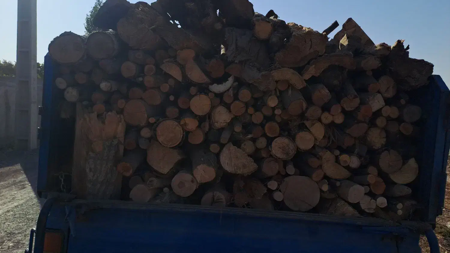 خریدار درخت خریدوبرش درختان|خدمات باغبانی و درختکاری|مشکین‌دشت, |دیوار