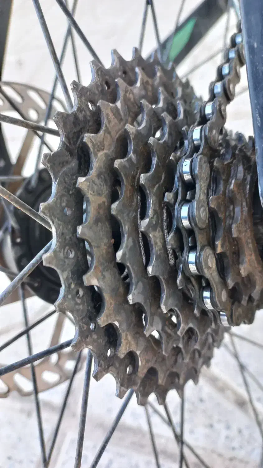 دوچرخه|دوچرخه، اسکیت، اسکوتر|گلبهار, شهر جدید گلبهار|دیوار