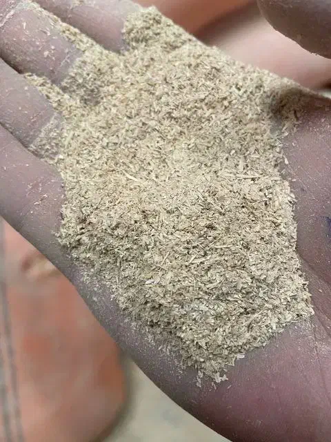 سبوس برنج|گل و گیاه طبیعی|کبودرآهنگ, |دیوار