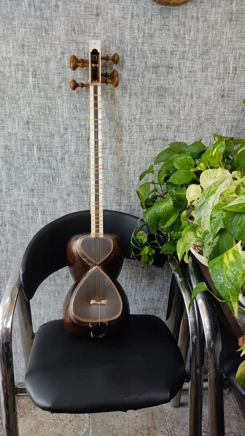 تار حرفه ای خوش صدا|سازهای سنتی|جهرم, |دیوار