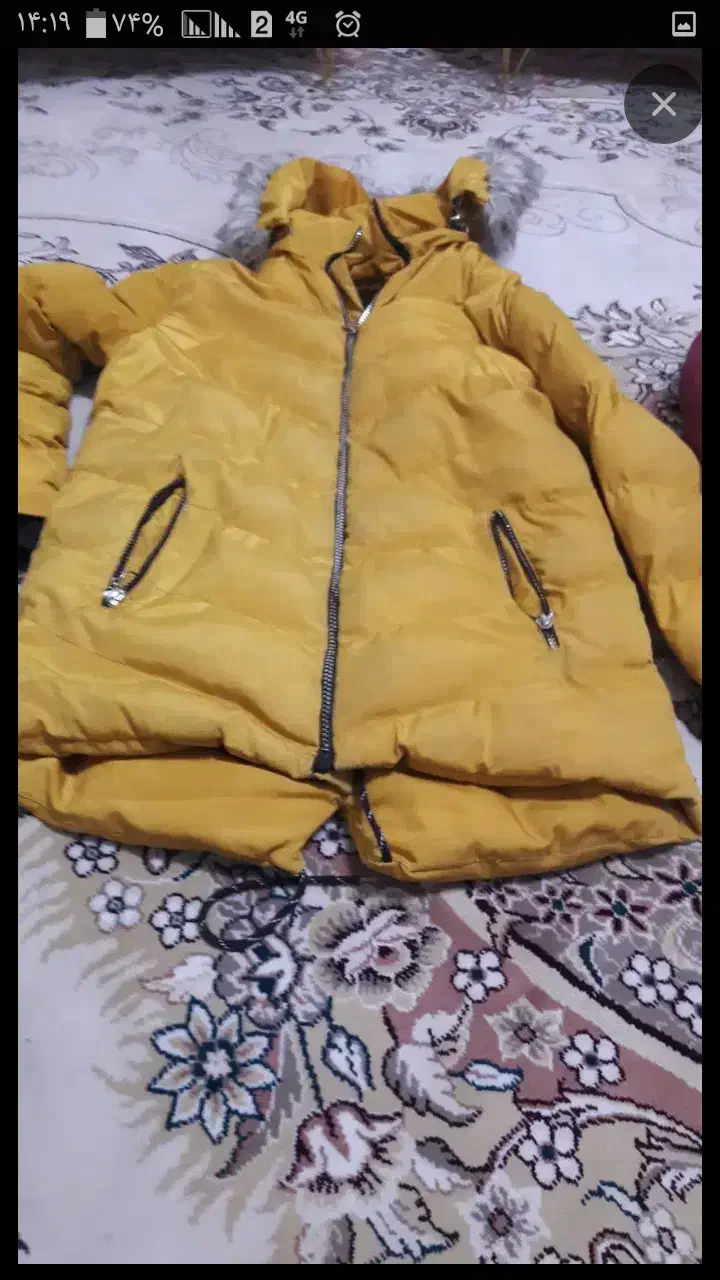 کاپشن سن 9الی 10 سال|لباس|تربت‌حیدریه, شهرک ولیعصر|دیوار