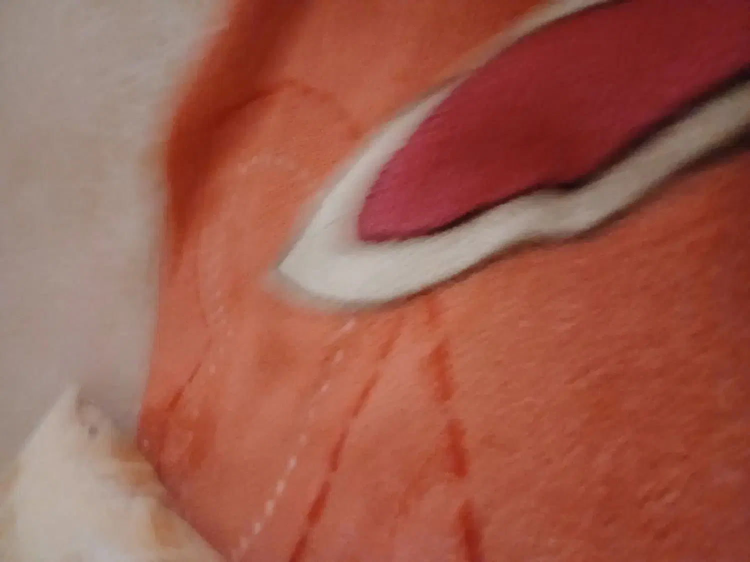 دنبال کاردرخانه خودم هستم|فعالیت داوطلبانه|بناب, |دیوار